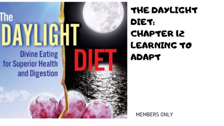 The Daylight Diet Learning To Adapt Chapter 12