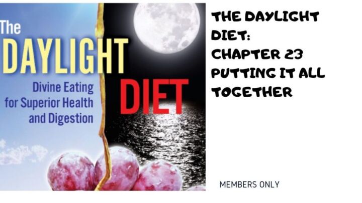 The Daylight Diet Putting it all together Chapter 23