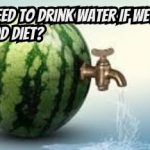 Do we need to drink water if we are on a raw food diet?