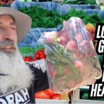 Eating Raw Food Locally Grown Is The Healthiest