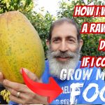 How Can I Follow a Raw Vegan Diet If I Can’t Grow My Own Food?