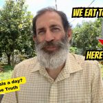 Why We Eat Too Often | The Truth About Meal Frequency