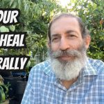 Let Your Body Heal: The Power of Sleep & Fasting