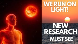 The Hidden Power of Sunlight: Why Indoor Light Is Destroying Your Health