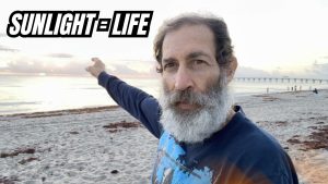 LED Lights vs Real Sunlight — How Your Light Choices Affect Your Health