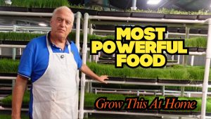 This Is How I Grow Most of My Food Indoors (Sprouts & Microgreens)