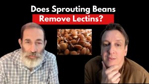 Raw Vegan vs Science? Dr. Gil Carvalho on Protein, Sprouts, Omega-3 & Longevity