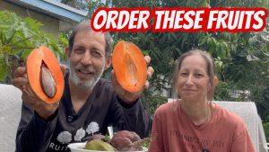 These Rare Fruits Are Perfect for a Raw Food Diet! (You Can Order Them Online)